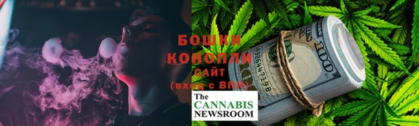 PSILOCYBIN Балахна