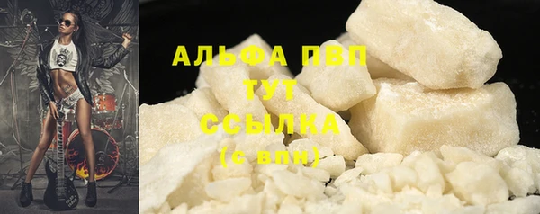 PSILOCYBIN Балахна