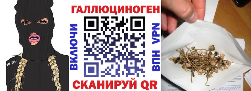 Галлюциногенные грибы мицелий  Электросталь 